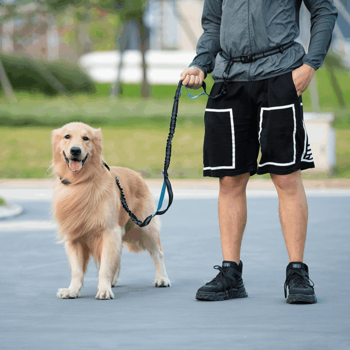 Hands Free Dog Leash with Zipper Pouch, Dual Padded Handles and Durable Bungee for Walking, Jogging and Running Your Dog (Large, 25-120 Lbs, Black) - Image 7