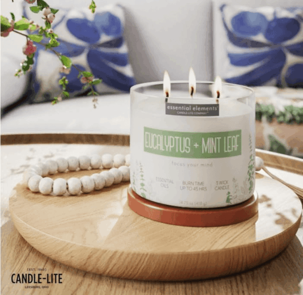 by  Scented Candles, Eucalyptus & Mint Leaf Fragrance, One 14.75 Oz. Three-Wick Aromatherapy Candle with 45 Hours of Burn Time, Off-White Color - Image 6