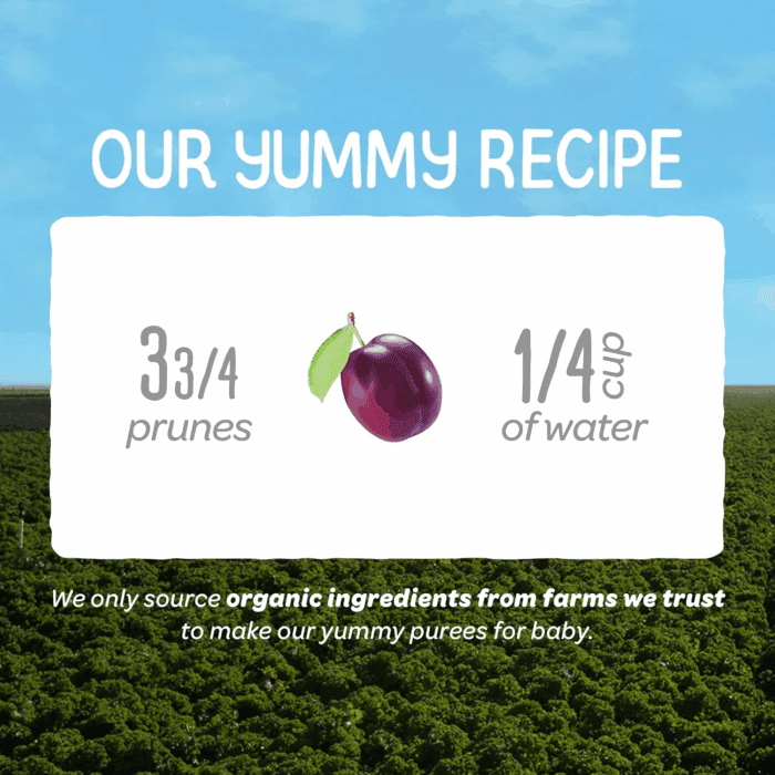 Clearly Crafted Organic Baby Food Stage 1, 3.5, 16 Count, Prunes, 56 Oz (Pack of 16) - Image 3