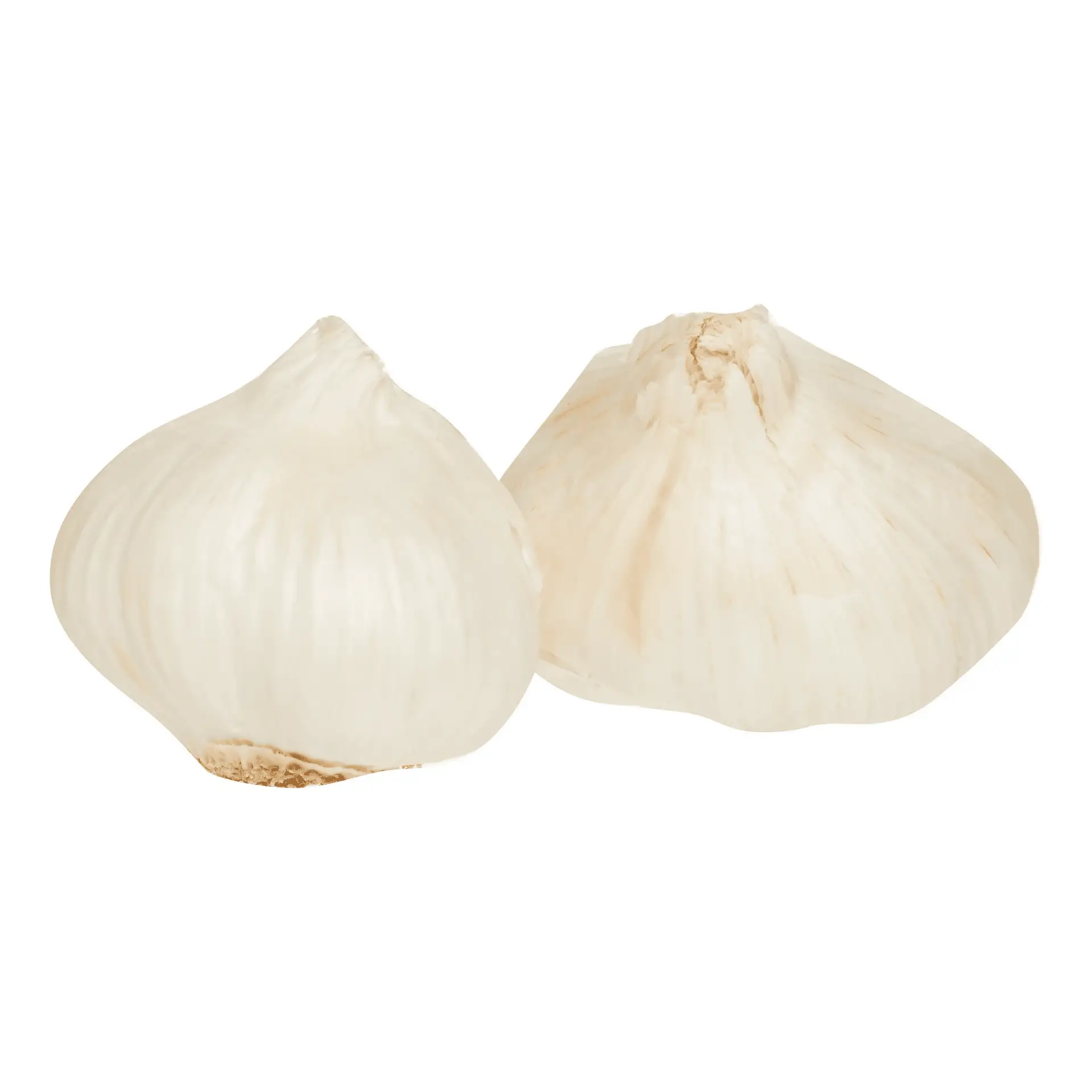 Fresh Garlic Sleeve, 3 Count - Image 3