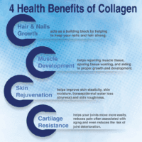 Collagen C Hydrolysate with Vitamin C 100 Capsules - Value Pack - Image 3