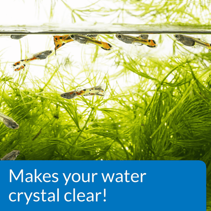 ACCU-CLEAR Freshwater Aquarium Water Clarifier 8-Ounce Bottle - Image 4