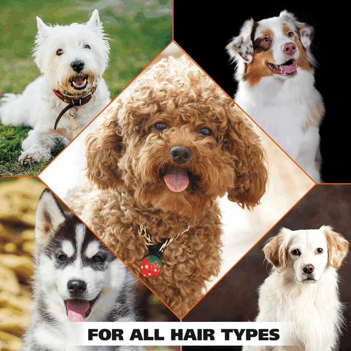 USA 4-In-1 Calming Pet Shampoo for Dogs – Cleans, Conditions, Detangles, & Moisturizes with Lavender Chamomile - Pet Friendly Formula - 24 Oz - Model 820000A - Image 8