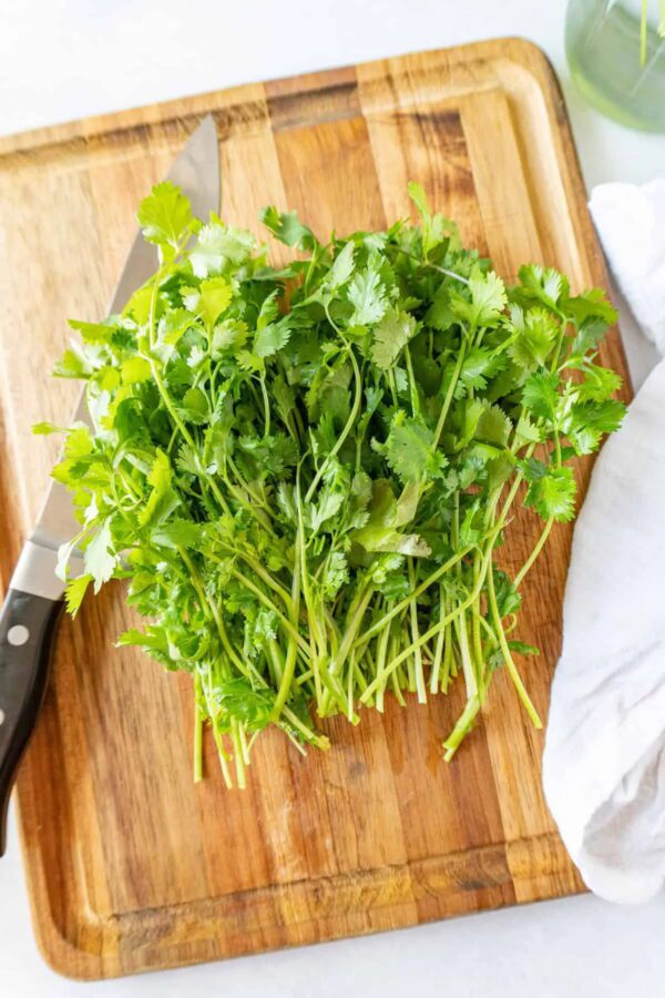 Fresh Cilantro, Bunch - Image 2