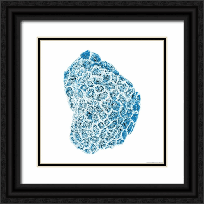 Brando, JJ 26X26 Gold Ornate Wood Framed with Double Matting Museum Art Print Titled - Blue Coral - Image 13