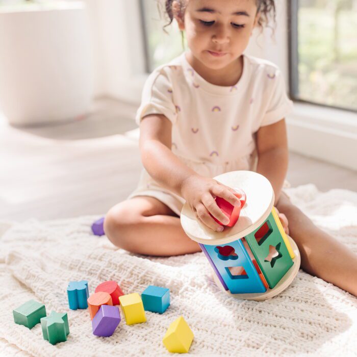 Match and Roll Wooden Shape Sorter Skill-Building Learning Toy with 13 Pcs - Image 6