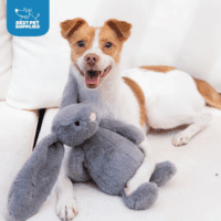 Interactive Bunny Buddy Dog Toy with Crinkle and Squeaky Enrichment for Small and Medium Breed Puppies or Dogs, Cute and Plush - Bunny Bundle (Beige, Gray) - Image 6