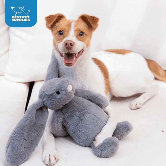 Interactive Bunny Buddy Dog Toy with Crinkle and Squeaky Enrichment for Small and Medium Breed Puppies or Dogs, Cute and Plush - Bunny Bundle (Beige, Gray) - Image 6