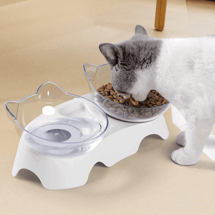 Cat Bowls, Cat Food Bowls Elevated Tilted, anti Vomiting Kitty Bowl for Puppy and Bunny, Orthopedic for Indoor Cats. - Image 2