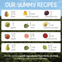 Organics Stage 2 Baby Food Pouches, Gluten Free, Vegan & Healthy Snack, Clearly Crafted Fruit & Veggie Puree, Fruit & Veggie Variety Pack, 4 Ounces (Pack of 16), Amazon Exclusive - Image 4