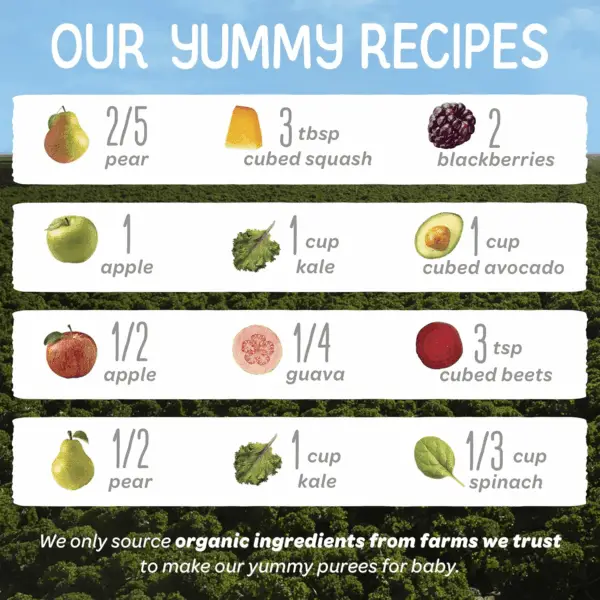 Organics Stage 2 Baby Food Pouches, Gluten Free, Vegan & Healthy Snack, Clearly Crafted Fruit & Veggie Puree, Fruit & Veggie Variety Pack, 4 Ounces (Pack of 16), Amazon Exclusive - Image 4