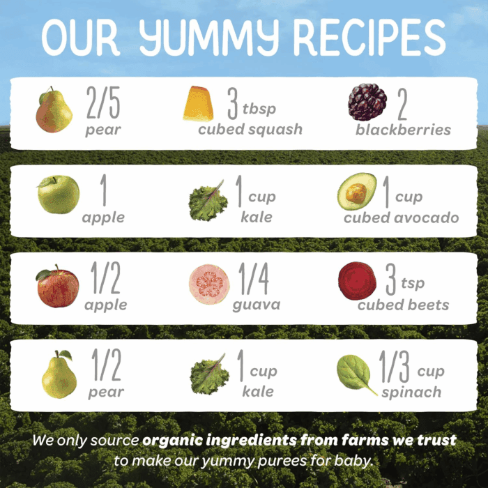 Organics Stage 2 Baby Food Pouches, Gluten Free, Vegan & Healthy Snack, Clearly Crafted Fruit & Veggie Puree, Fruit & Veggie Variety Pack, 4 Ounces (Pack of 16), Amazon Exclusive - Image 4