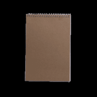 Top Spiral Steno Pad, Gregg Ruled Paper, 100 Sheets, Black, 1 Count, 0 Holes - Image 5