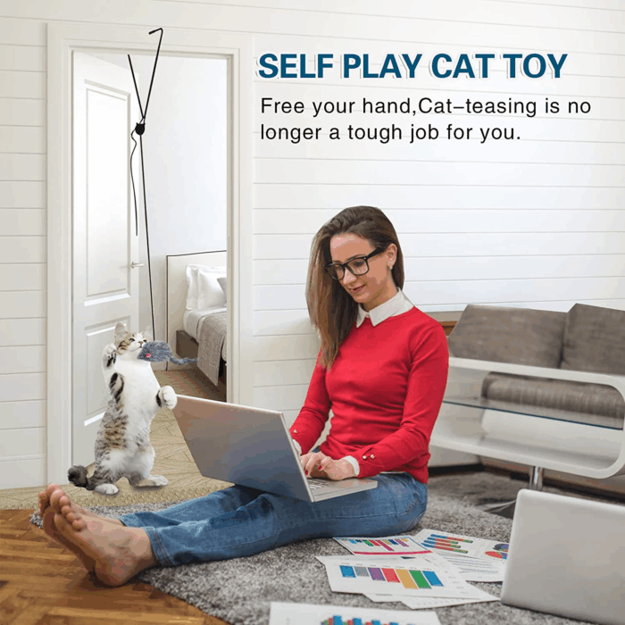 Interactive Cat Feather Toys,Retractable Teaser Toy ，Hanging Interactive Toys for Indoor Cats Kitten Play Chase Exercise, Kitten Mental Exercise Toys (1 Pack) - Image 2