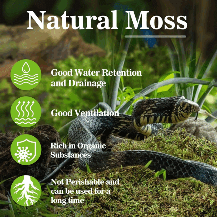 Sphagnum Moss for Reptiles - Terrarium Reptiles Moss Green Dried Peat Moss Habitat Bedding Moss for Snakes Turtle Frog Gecko and Other Reptiles Substrate (5, Ounces) - Image 3