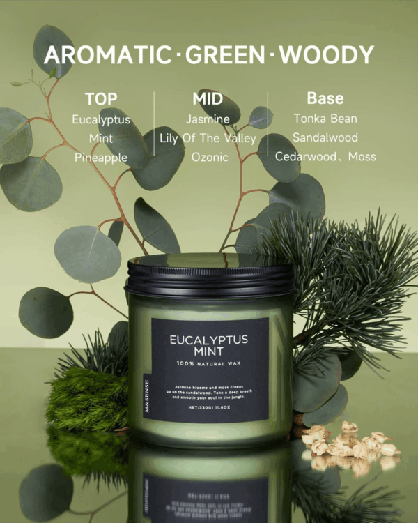 Eucalyptus & Mint Soy Candles for Home Scented, 11.6Oz 70 Hour Burn Aromatherapy Candle Gift for Stress Relief, Meditation, Yoga, Relaxing SPA, Reusable Jar Candles for Men and Women - Image 2