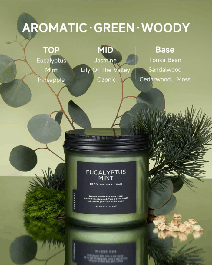 Eucalyptus & Mint Soy Candles for Home Scented, 11.6Oz 70 Hour Burn Aromatherapy Candle Gift for Stress Relief, Meditation, Yoga, Relaxing SPA, Reusable Jar Candles for Men and Women - Image 2