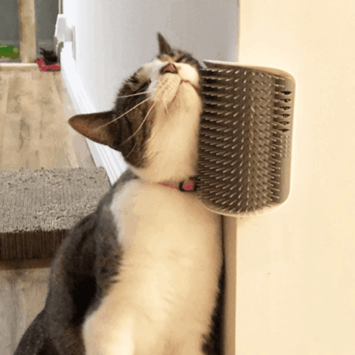 2 Pack Softer Self Groomer with Catnip Wall Corner Massage Comb Scratcher Grooming Brush Tool for Long & Short Fur Kitten Cats Dogs - Image 5