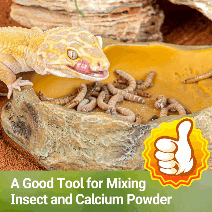 Reptile Cricket Calcium Powder Mixer, Cricket Keeper Shaker for Bearded Dragon Gecko Snake Lizards, Dispenser Feeder for Chameleon Reptile & Amphibians - Image 6