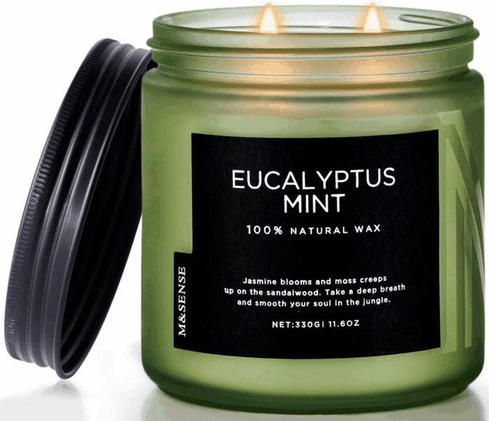 Eucalyptus & Mint Soy Candles for Home Scented, 11.6Oz 70 Hour Burn Aromatherapy Candle Gift for Stress Relief, Meditation, Yoga, Relaxing SPA, Reusable Jar Candles for Men and Women