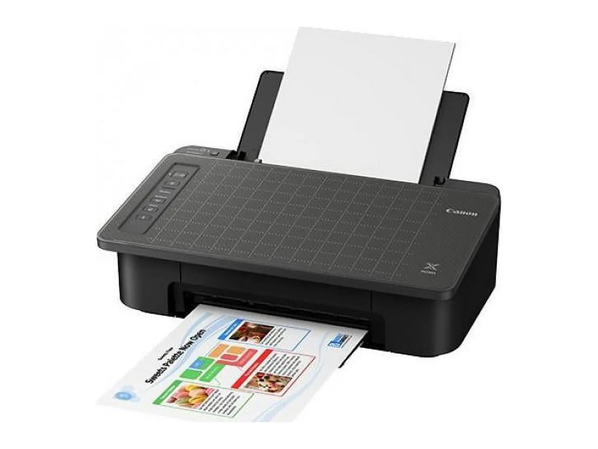 PIXMA TS302 Wireless Inkjet Printer (2321C002)