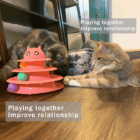 Cat Toy Roller 3-Level Turntable Cat Toy Balls with Six Colorful Balls Interactive Kitten Fun Mental Physical Exercise Puzzle Toys. - Image 6