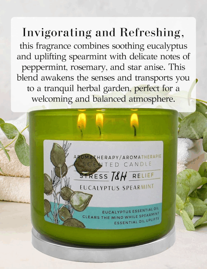 Eucalyptus Spearmint Aromatherapy 3-Wick Soy Scented Candle - 15.8 Oz Large Candle for Men and Women - Long Lasting Decorative Gift - Image 2