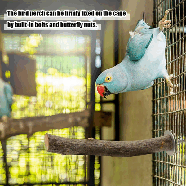 8PCS Natural Wood Bird Perches for Cage, Wooden Parrot Perch Stand, Bird Cage Accessories - Hanging Multi-Branch Perch & Platformas, Bird Toys for Parakeets, Cockatiel, Conure, Budgie, Macaw - Image 9