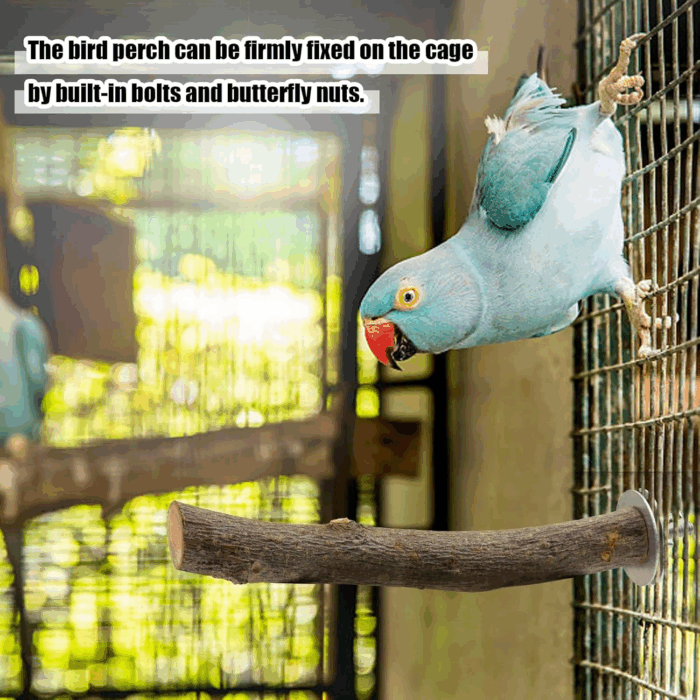 8PCS Natural Wood Bird Perches for Cage, Wooden Parrot Perch Stand, Bird Cage Accessories - Hanging Multi-Branch Perch & Platformas, Bird Toys for Parakeets, Cockatiel, Conure, Budgie, Macaw - Image 9