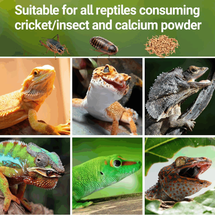 Reptile Cricket Calcium Powder Mixer, Cricket Keeper Shaker for Bearded Dragon Gecko Snake Lizards, Dispenser Feeder for Chameleon Reptile & Amphibians - Image 7