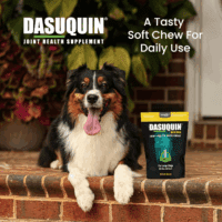 Dasuquin with MSM Joint Health Supplement for Large Dogs - with Glucosamine, MSM, Chondroitin, ASU, Boswellia Serrata Extract, and Green Tea Extract, 84 Soft Chews - Image 4