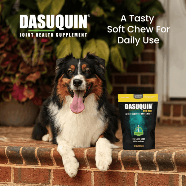Dasuquin with MSM Joint Health Supplement for Large Dogs - with Glucosamine, MSM, Chondroitin, ASU, Boswellia Serrata Extract, and Green Tea Extract, 84 Soft Chews - Image 4