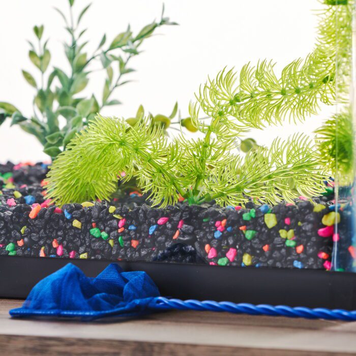 Moneywort, Cabomba & Foxtail Aquarium Plant Assortment (Style Will Vary) - Image 2