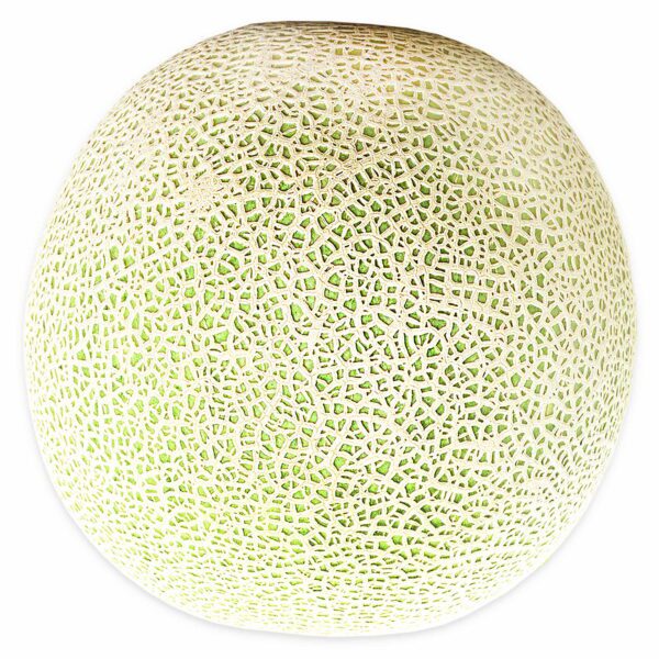 Fresh Cantaloupe, Each - Image 3