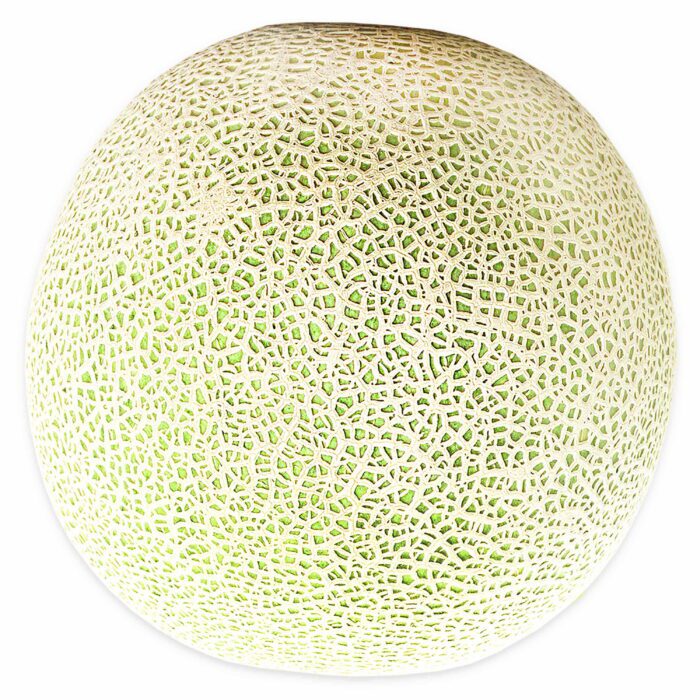 Fresh Cantaloupe, Each - Image 3