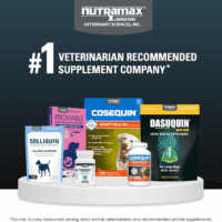 Dasuquin with MSM Joint Health Supplement for Large Dogs - with Glucosamine, MSM, Chondroitin, ASU, Boswellia Serrata Extract, and Green Tea Extract, 84 Soft Chews - Image 9