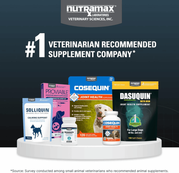 Dasuquin with MSM Joint Health Supplement for Large Dogs - with Glucosamine, MSM, Chondroitin, ASU, Boswellia Serrata Extract, and Green Tea Extract, 84 Soft Chews - Image 9