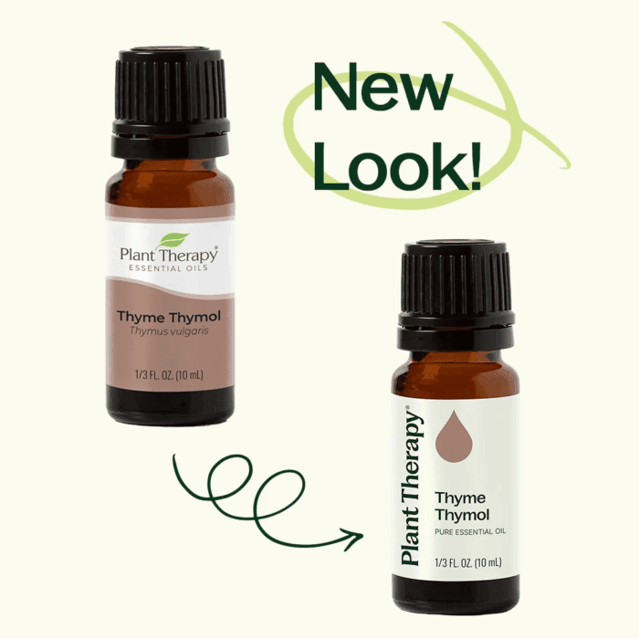 Thyme Thymol Essential Oil 100% Pure, Undiluted, Natural Aromatherapy, Therapeutic Grade 10 Ml (1/3 Oz) - Image 6