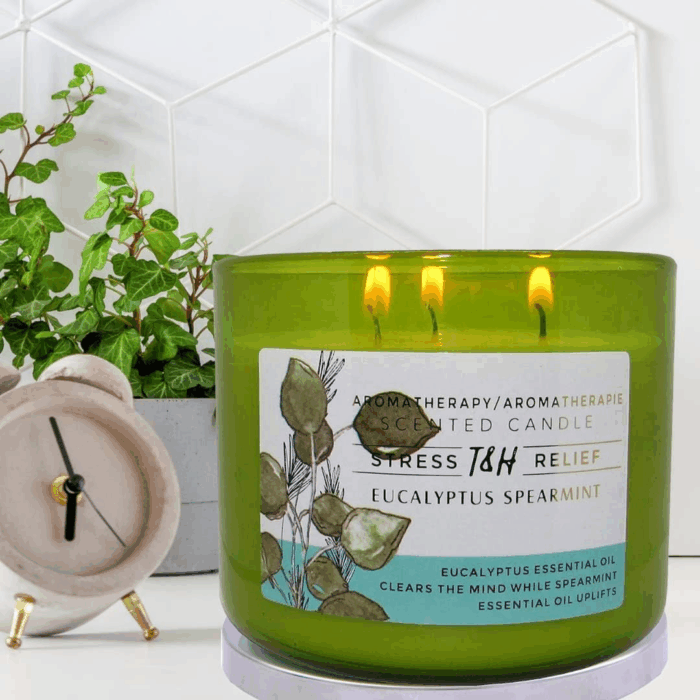 Eucalyptus Spearmint Aromatherapy 3-Wick Soy Scented Candle - 15.8 Oz Large Candle for Men and Women - Long Lasting Decorative Gift - Image 8