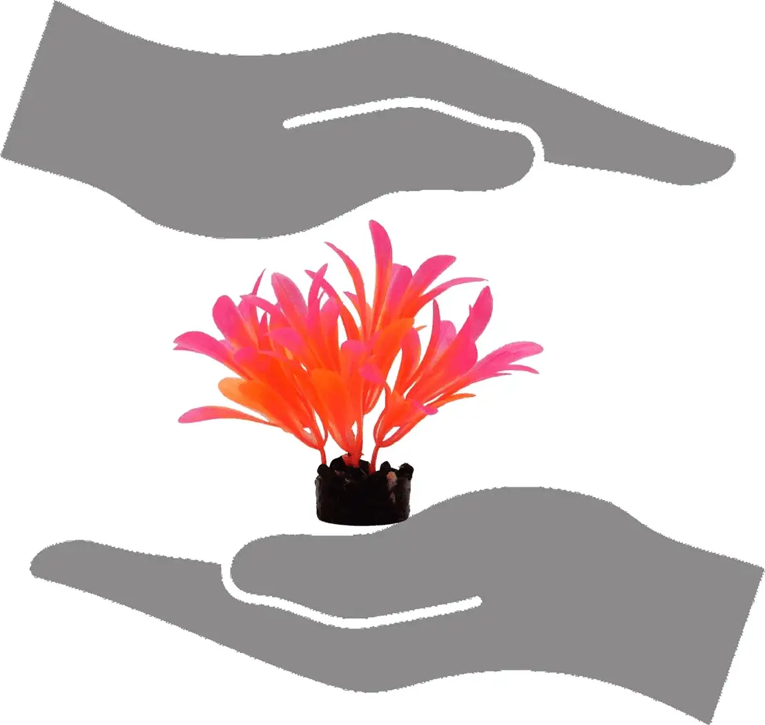 Bright Value Aquarium Plant - Bright Color - Image 6