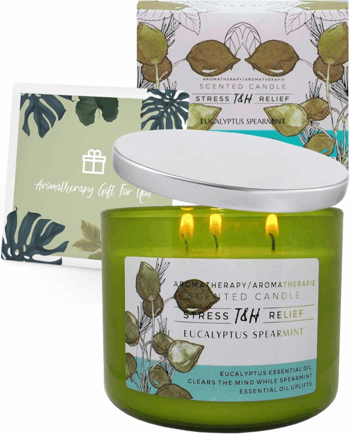 Eucalyptus Spearmint Aromatherapy 3-Wick Soy Scented Candle - 15.8 Oz Large Candle for Men and Women - Long Lasting Decorative Gift - Image 5