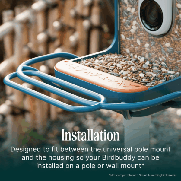 Blue Perch Extender- Add-On Accessory for Better Birding Experience - Outdoor Perch for Feeding Multiple Birds - Weatherproof and Durable for Large Bird Species - Image 3