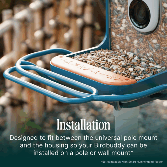 Blue Perch Extender- Add-On Accessory for Better Birding Experience - Outdoor Perch for Feeding Multiple Birds - Weatherproof and Durable for Large Bird Species - Image 3
