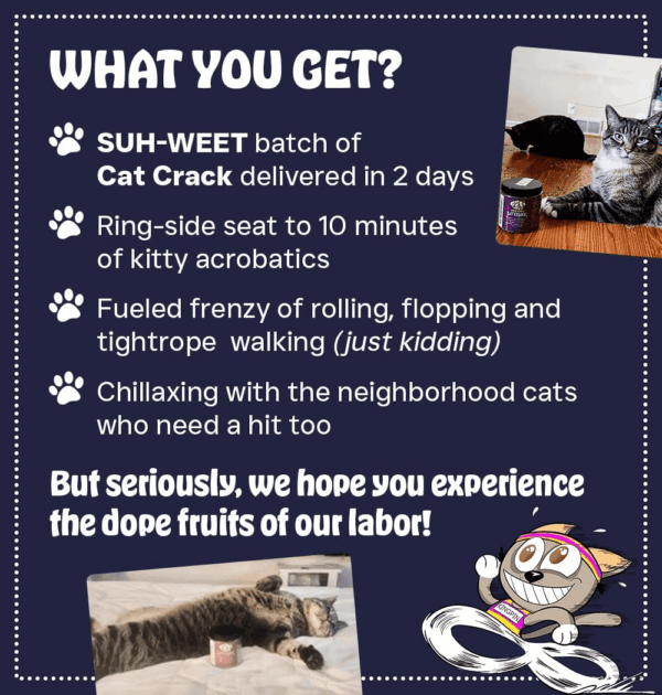 Catnip, Zoomie-Inducing Cat Nip Blend, North American Made & 100% Natural, Safe & Non-Addictive Catnip Treats Used to Supplement Cat Nip Toys, Spray, & Accessories (1 Cup) - Image 5