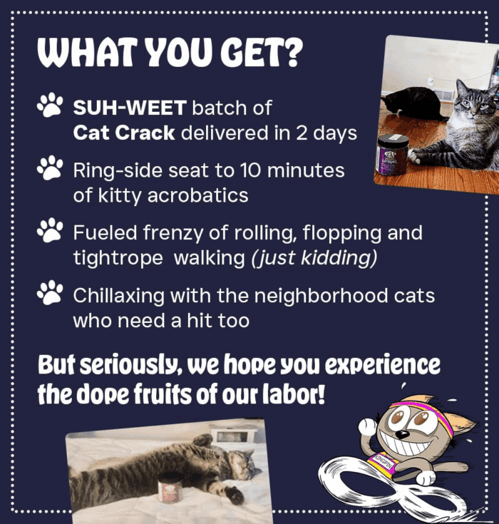 Catnip, Zoomie-Inducing Cat Nip Blend, North American Made & 100% Natural, Safe & Non-Addictive Catnip Treats Used to Supplement Cat Nip Toys, Spray, & Accessories (1 Cup) - Image 5