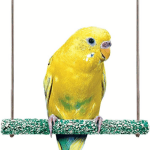 Bird-Life Trimmer plus Cement & Metal Swing – Naturally Trims Nails & Beak – Great for Parakeets, Cockatiels, Finches, and Other Small Birds – Small Size