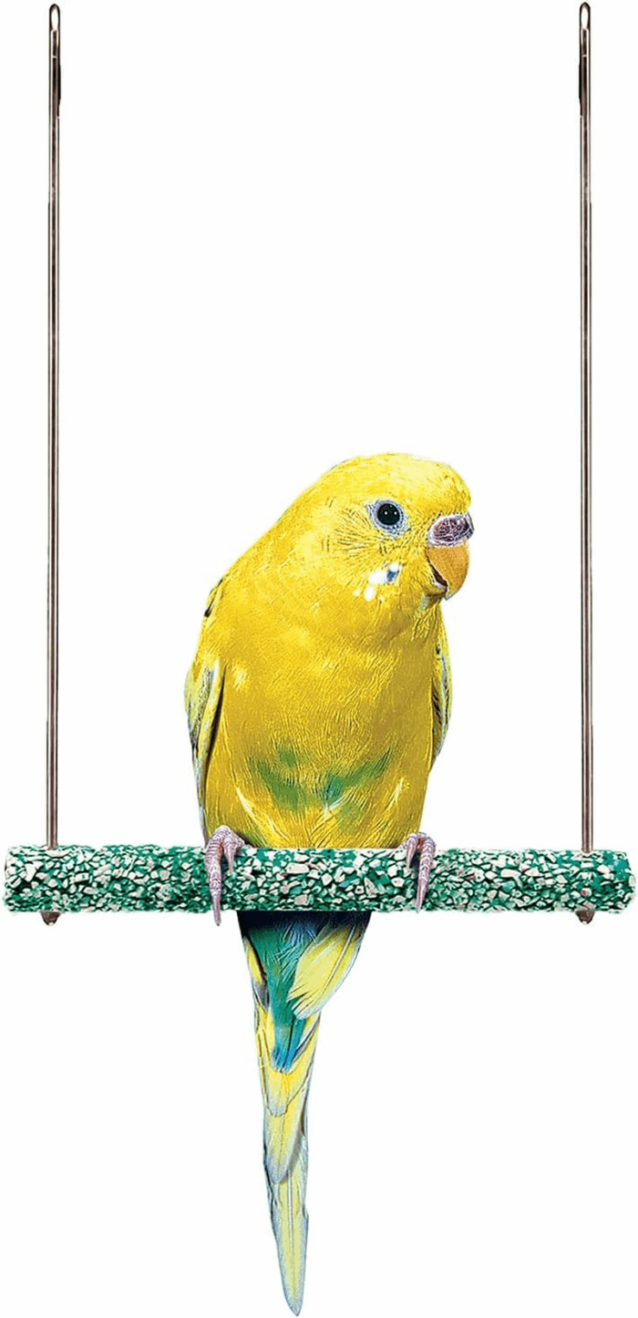 Bird-Life Trimmer plus Cement & Metal Swing – Naturally Trims Nails & Beak – Great for Parakeets, Cockatiels, Finches, and Other Small Birds – Small Size