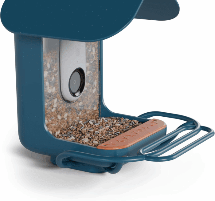 Blue Perch Extender- Add-On Accessory for Better Birding Experience - Outdoor Perch for Feeding Multiple Birds - Weatherproof and Durable for Large Bird Species - Image 6