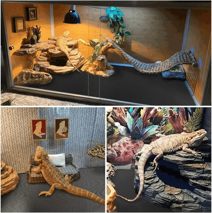 Reptile Carpet Reptile Substrate Floor Reptile Terrarium Mat Liner Durable and Dirt Resistant Reptile Carpet for Leopard Gecko Lizard Bearded Dragon Tank Accessories(Black) - Image 6