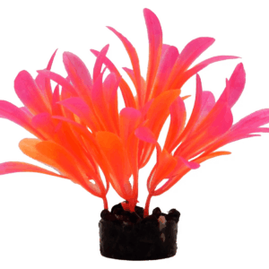Bright Value Aquarium Plant - Bright Color